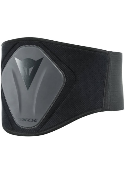 PROTECCION DAINESE LUMBAR BELT HIGH