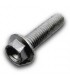 TORNILLO ESPECIAL 6X16 T0206016