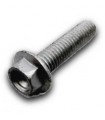 TORNILLO ESPECIAL 6X16 T0206016